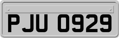 PJU0929