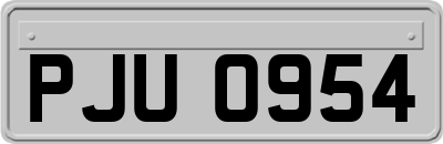 PJU0954