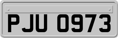 PJU0973
