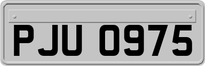 PJU0975