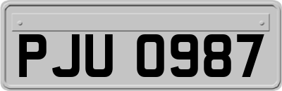 PJU0987