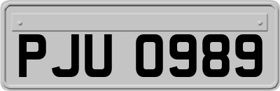 PJU0989