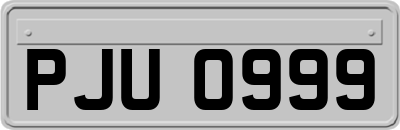 PJU0999