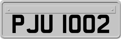 PJU1002