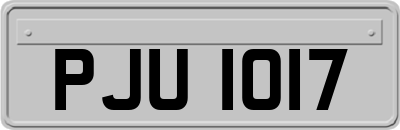 PJU1017