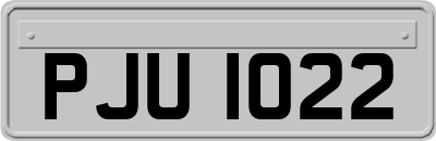 PJU1022