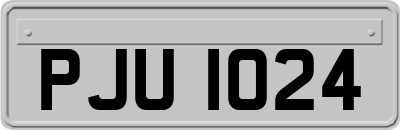 PJU1024