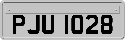 PJU1028