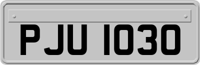 PJU1030