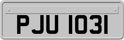 PJU1031