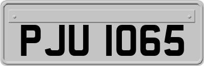PJU1065