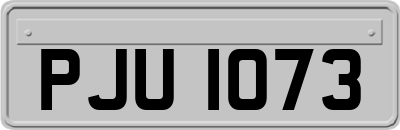 PJU1073