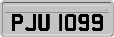 PJU1099
