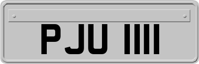 PJU1111