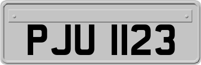PJU1123