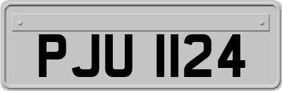 PJU1124
