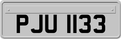 PJU1133