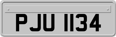 PJU1134