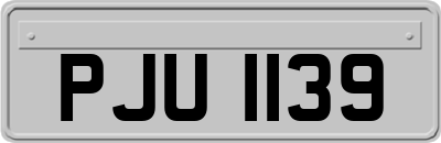 PJU1139