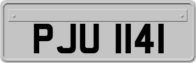 PJU1141