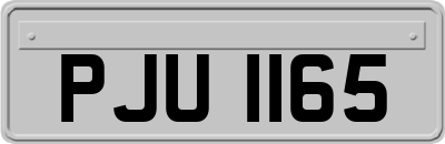 PJU1165