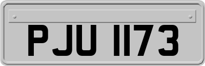 PJU1173
