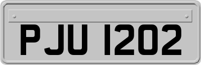PJU1202