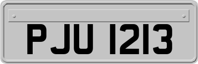 PJU1213