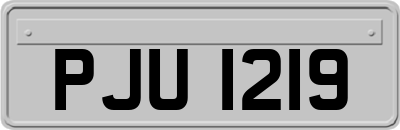 PJU1219