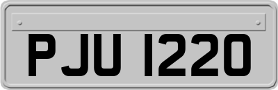 PJU1220