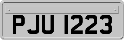 PJU1223