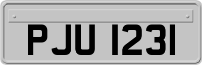 PJU1231
