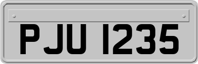 PJU1235