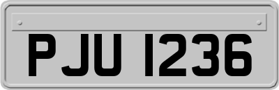 PJU1236