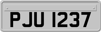 PJU1237
