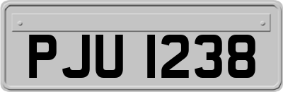 PJU1238