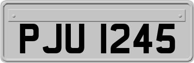 PJU1245