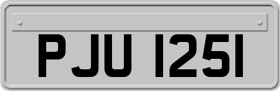 PJU1251