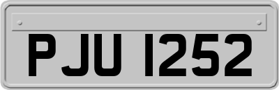 PJU1252