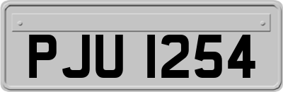 PJU1254