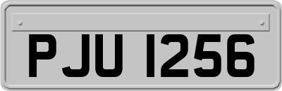 PJU1256