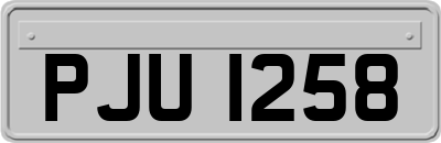 PJU1258