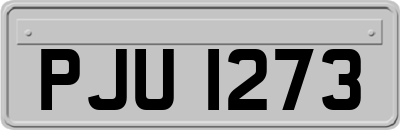 PJU1273