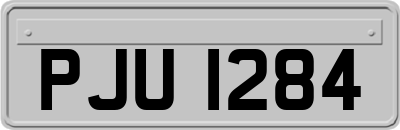 PJU1284