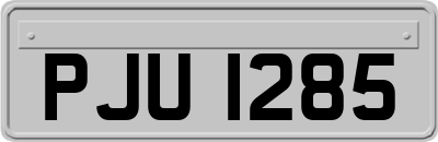 PJU1285