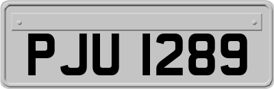 PJU1289