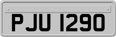 PJU1290