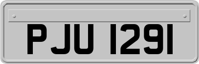 PJU1291
