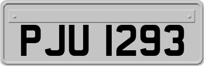PJU1293