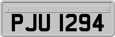 PJU1294